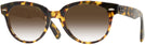 Round Yellow Havana Ray-Ban 2199 w/ Gradient Progressive Reading Sunglasses View #1