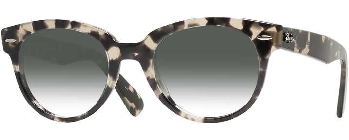 Round Gray Havana Ray-Ban 2199 w/ Gradient Progressive Reading Sunglasses View #1