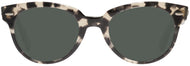 Gray Havana #2