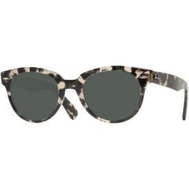 Ray-Ban 2199 Progressive Reading Sunglasses