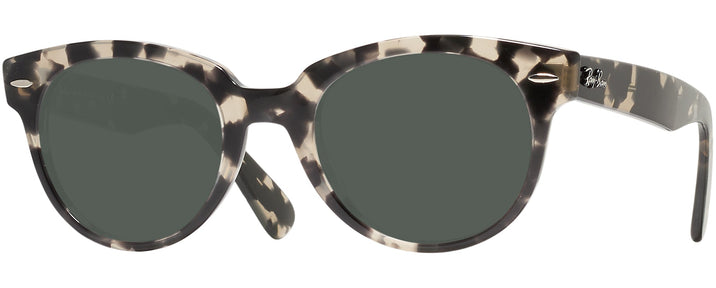 Round Gray Havana Ray-Ban 2199 Progressive Reading Sunglasses View #1