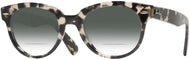 Gray Havana #1