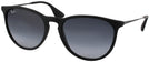 Round Black Ray-Ban 4171 View #1