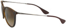 Round Havana Ray-Ban 4171 View #3
