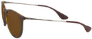Round Havana Ray-Ban 4171 Bifocal Reading Sunglasses View #3