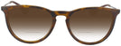 Round Havana Ray-Ban 4171 w/ Gradient Bifocal Reading Sunglasses View #2