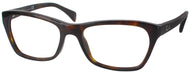 Dark Havana #1