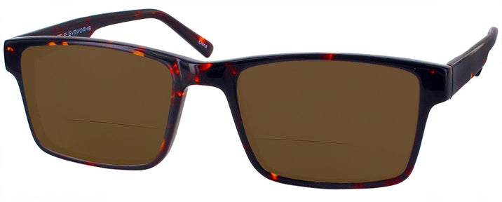 Square Intelligent Tortoise Seattle Eyeworks 945 Bifocal Reading Sunglasses View #1