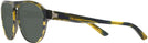 Round,Aviator Havana Yellow Pointille W/ Blue Starck SH5024 Progressive Reading Sunglasses View #3