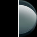 Black/Neutral Grey Lens swatch