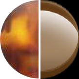Havana With Trans Yellow/HCL Bronze Lens swatch