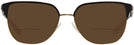 Square Shiny Gold/black Tory Burch 1066 Bifocal Reading Sunglasses View #2