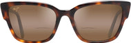 Tortoise W/hcl Bronze Lens #2