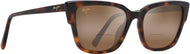Tortoise W/hcl Bronze Lens #1