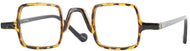 Black/tortoise #1