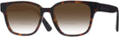 Square Havana Prada A09V w/ Gradient Bifocal Reading Sunglasses View #1