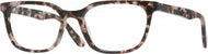 Grey Tortoise #1