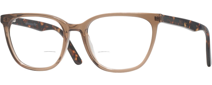 Rectangle Crystal Brown/tortoise Wildwood Bifocal View #1