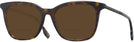Square Dark Havana Burberry 2390 Bifocal Reading Sunglasses View #1