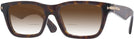 Rectangle Dark Havana Burberry 2419L w/ Gradient Bifocal Reading Sunglasses View #1