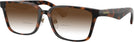 Square Dark Havana Burberry 2450D w/ Gradient Bifocal Reading Sunglasses View #1