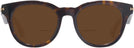 Square Dark Havana Burberry 4439 Bifocal Reading Sunglasses View #2
