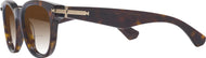 Dark Havana #3