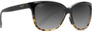Cat Eye Black w/ Tort/Grey Lens Maui Jim Starfish 744 View #1