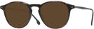 Round Havana Carrera 8876 Progressive Reading Sunglasses View #1