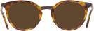 Round Light Tortoise Stanton Progressive Reading Sunglasses View #2