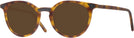 Round Light Tortoise Stanton Progressive Reading Sunglasses View #1