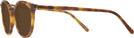 Round Light Tortoise Stanton Bifocal Reading Sunglasses View #3