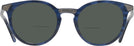 Round Blue Tortoise Stanton Bifocal Reading Sunglasses View #2