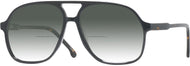 Black With Tortoise Temple #1