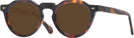 Round Tortoise Truman Progressive Reading Sunglasses View #1