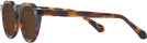 Round Tortoise Truman Bifocal Reading Sunglasses View #3