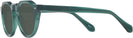 Round Transparent Green Truman Bifocal Reading Sunglasses View #3