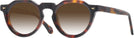 Round Tortoise Truman w/ Gradient Progressive Reading Sunglasses View #1