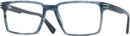 Blue Tortoise #1