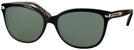 Square Black Coach 8132 Progressive Reading Sunglasses View #1