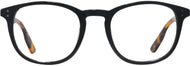 Black With Tortoise #2