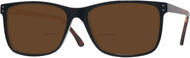 Black W/ Tortoise Temples #1
