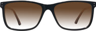 Black W/ Tortoise Temples #2