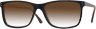 Black W/ Tortoise Temples #1
