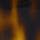 Dark Havana swatch