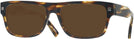 Rectangle Tortoise Zegna EZ0088 Progressive Reading Sunglasses View #1