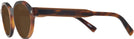 Round Tortoise Zegna EZ0100 Progressive No Line Reading Sunglasses View #3