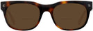 Square Tortoise Zegna EZ0101 Bifocal Reading Sunglasses View #2