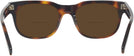 Square Tortoise Zegna EZ0101 Bifocal Reading Sunglasses View #4