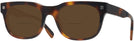 Square Tortoise Zegna EZ0101 Bifocal Reading Sunglasses View #1